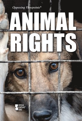 bokomslag Animal Rights