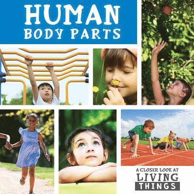 Steffi Cavell-Clarke - Human Body Parts, Inbunden