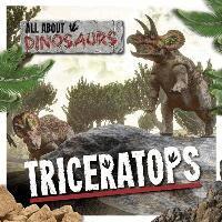 Amy Allatson - Triceratops, Häftad