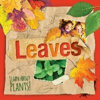Steffi Cavell-Clarke - Leaves, Inbunden