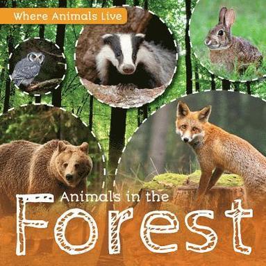 bokomslag Animals in the Forest