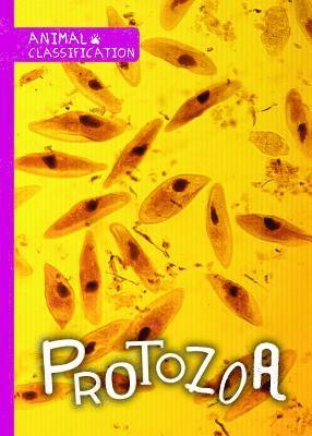 Joanna Brundle - Protozoa, Häftad