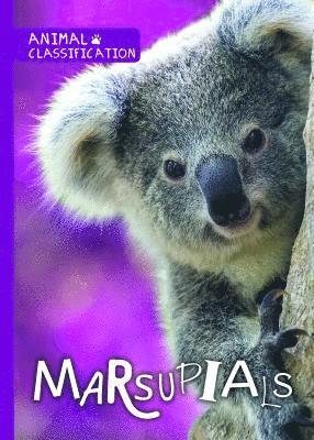 Madeline Tyler - Marsupials, Häftad