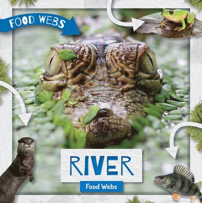 William Anthony - River Food Webs, Inbunden