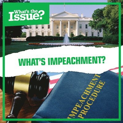 Amy Holt - What's Impeachment?, Häftad
