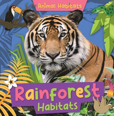 Rainforest Habitats 1