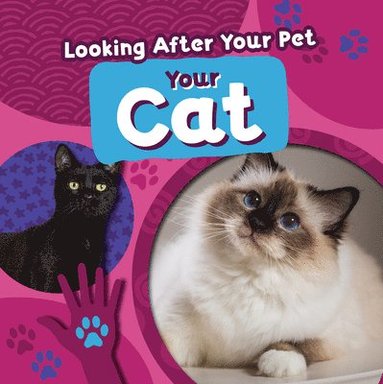 bokomslag Your Cat