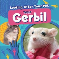 bokomslag Your Gerbil