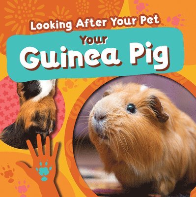 Rebecca Phillips-Bartlett - Your Guinea Pig, Inbunden