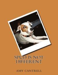 Spud is not different 1