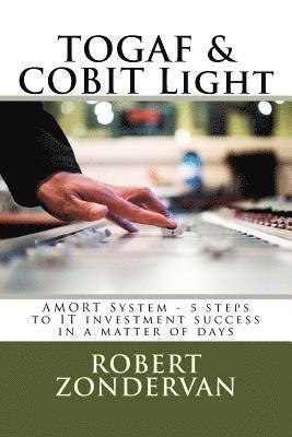 bokomslag TOGAF & COBIT Light: AMORT System - 5 steps to IT investment success in a matter of days