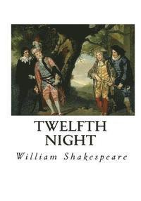 bokomslag Twelfth Night: or, What You Will