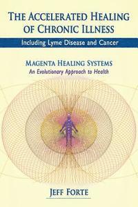 bokomslag The Accelerated Healing of Chronic Illness: Including Lyme Disease and Cancer