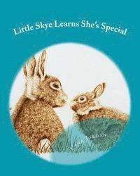bokomslag Little Skye Learns She's Special