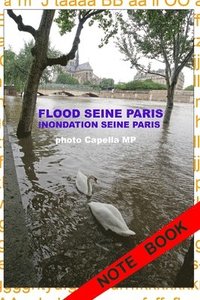bokomslag Inondation Seine Paris 2016: Flood Seine Paris