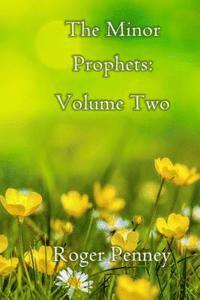 bokomslag The Minor Prophets: Volume Two