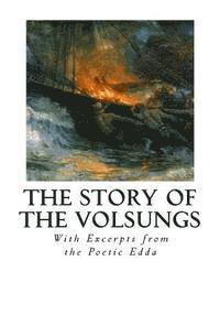 bokomslag The Story of the Volsungs: Volsunga Saga