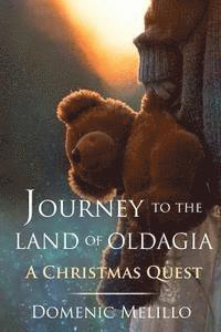 bokomslag Journey to the Land of Oldagia: A Christmas Quest