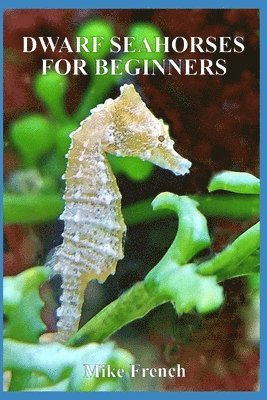 bokomslag Dwarf Seahorses For Beginners