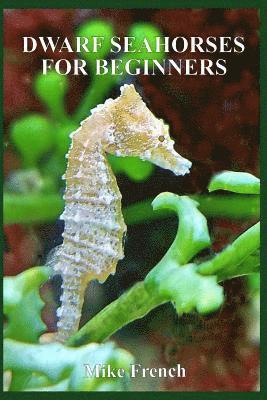 Dwarf Seahorses For Beginners