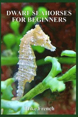 Dwarf Seahorses For Beginners 1