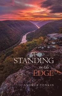 bokomslag Standing on the Edge