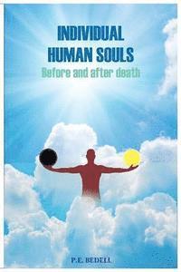 bokomslag Individual Human Soul: Before and After Death