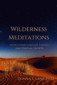 bokomslag Wilderness Meditations: 40 Devotions for Lent, Fasting, and Spiritual Growth