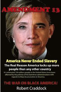 bokomslag Amendment 13: America Never Ended Slavery