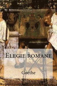 bokomslag Elegie romane