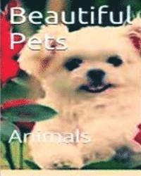 bokomslag Beautiful Pets: Animal