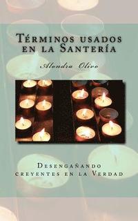 bokomslag Glosario de los termino de Santeria: Desenganando creyentes en la Verdad