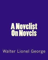 bokomslag A Novelist On Novels