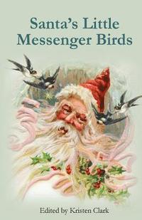 bokomslag Santa's Little Messenger Birds