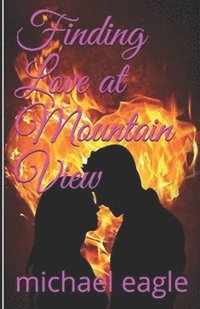 bokomslag Finding Love At Mountain View