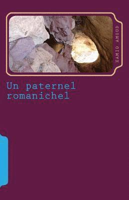 bokomslag Un paternel romanichel