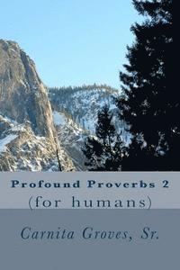 bokomslag Profound Proverbs 2: (for humans)