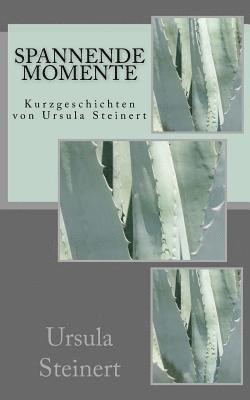 bokomslag Spannende Momente: Kurzgeschichten von Ursula Steinert