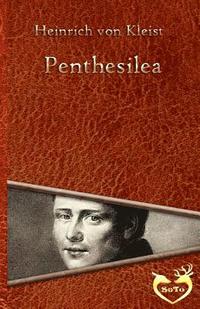 bokomslag Penthesilea