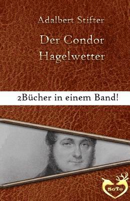bokomslag Der Condor - Großschrift: Bonusgeschichte: Hagelwetter