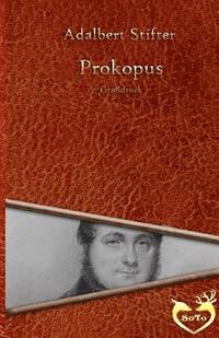 bokomslag Prokopus - Großdruck