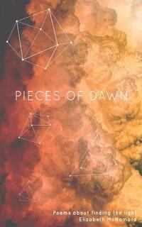 bokomslag Pieces of Dawn: Poems about finding the light