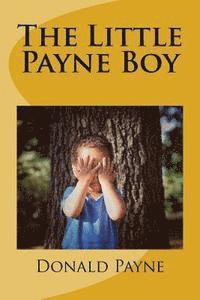 bokomslag The Little Payne Boy: Over 100 short stories about a child growing up in Oberlin, Ohio.