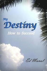 bokomslag My Destiny: How To Succeed