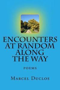 bokomslag Encounters at Random Along the Way: poems