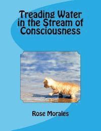 Rose Aiello Morales - Treading Water in the Stream of Consciousness, Häftad. Tillgänglighet: Lägg i varukorg