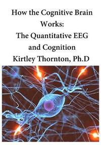 bokomslag How the Cognitive Brain Works: The Quantitative EEG and Cognition