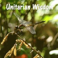 bokomslag Unitarian Wisdom