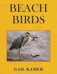 bokomslag Beach Birds