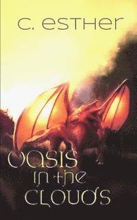 Taylor Morris - Oasis in the Clouds, Häftad